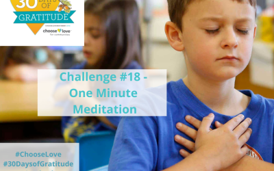 30 Days of Gratitude Challenge #18 – One Minute Meditation