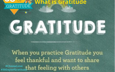 30 Days of Gratitude Challenge #1 – What is gratitude?