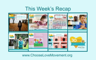 30 Days of Gratitude Challenge Recap Week 3