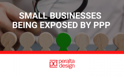 Small Businesses are Being Exposed by PPP