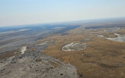 The Makgadikgadi Pans: A Journey to the Edge of Infinity