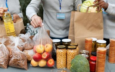 The Growth of Little Free Food Pantries